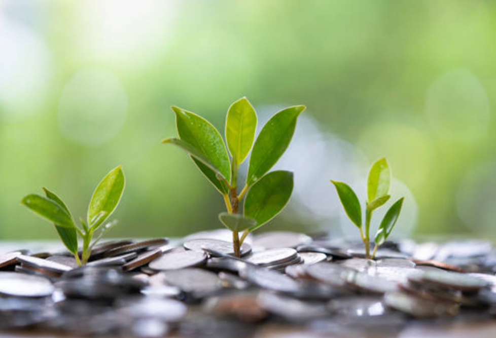 Green Accounting